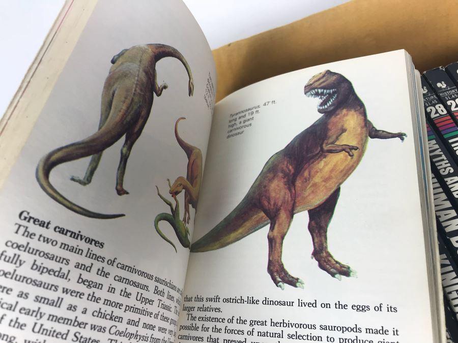 Series Of Paperback Books 'Knowledge Through Color' [Photo 7]