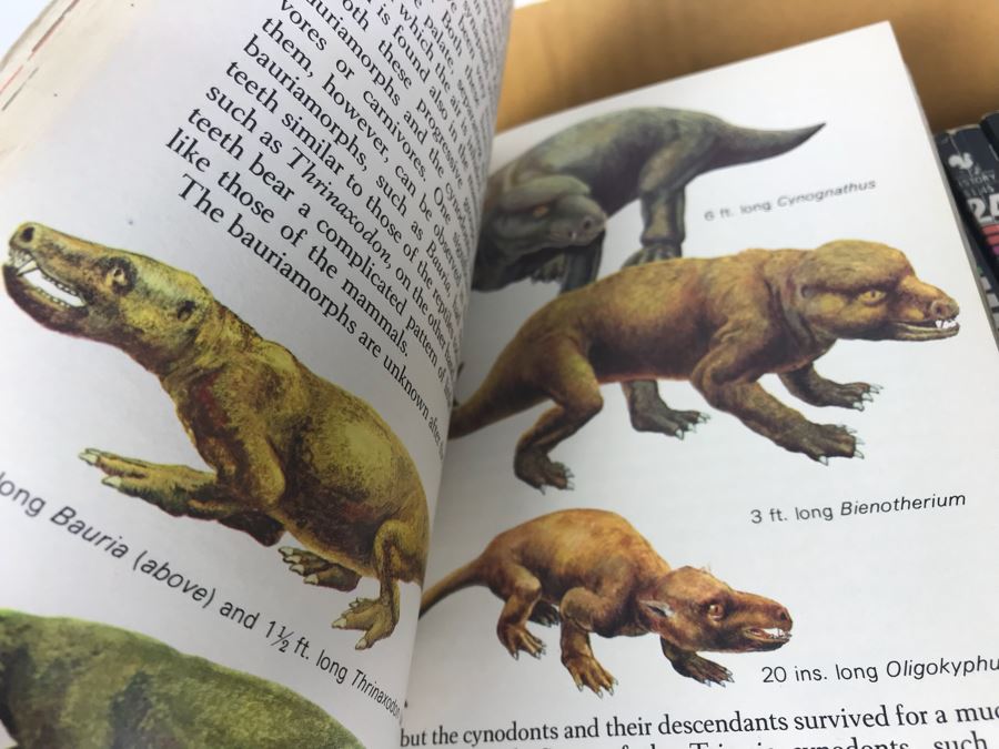 Series Of Paperback Books 'Knowledge Through Color' [Photo 8]