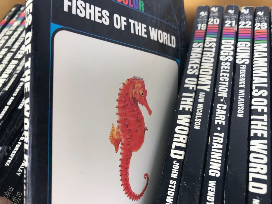 Series Of Paperback Books 'Knowledge Through Color' [Photo 16]