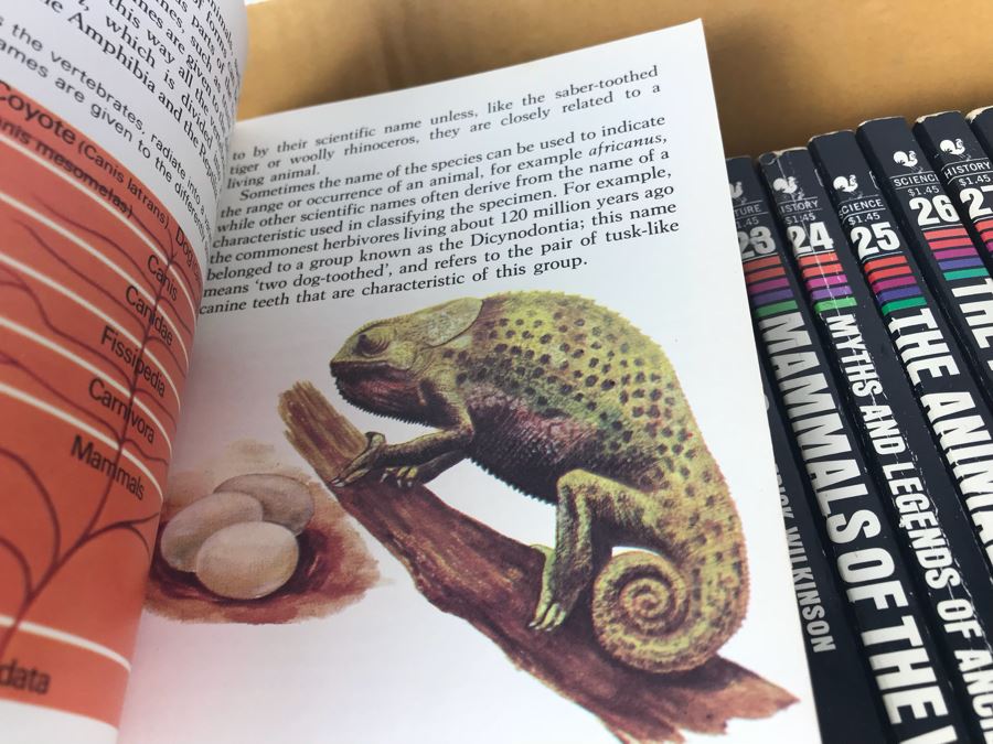 Series Of Paperback Books 'Knowledge Through Color' [Photo 9]