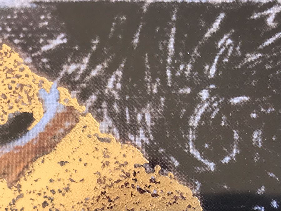 JUST ADDED - Pair Of Gilt Framed Prints Of Vase And Ewer 31' X 37' [Photo 15]