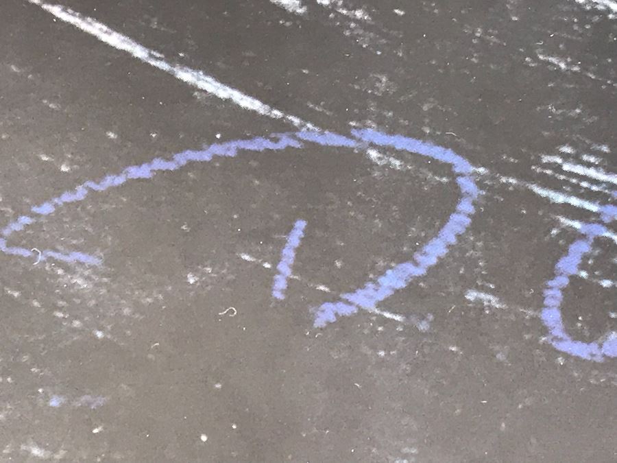 JUST ADDED - Pair Of Gilt Framed Prints Of Vase And Ewer 31' X 37' [Photo 5]