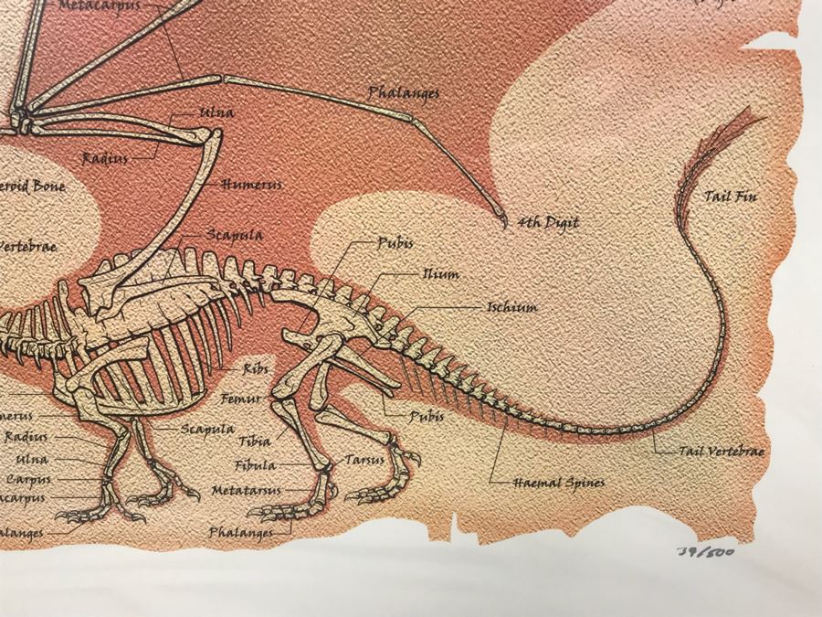 Limited Edition Hand Signed Print By John E. Kaufmann Titled 'Dragon Bones' 20' X 16' [Photo 6]