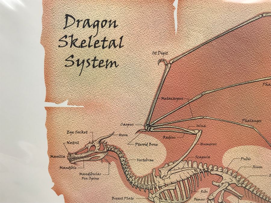 Limited Edition Hand Signed Print By John E. Kaufmann Titled 'Dragon Bones' 20' X 16' [Photo 4]