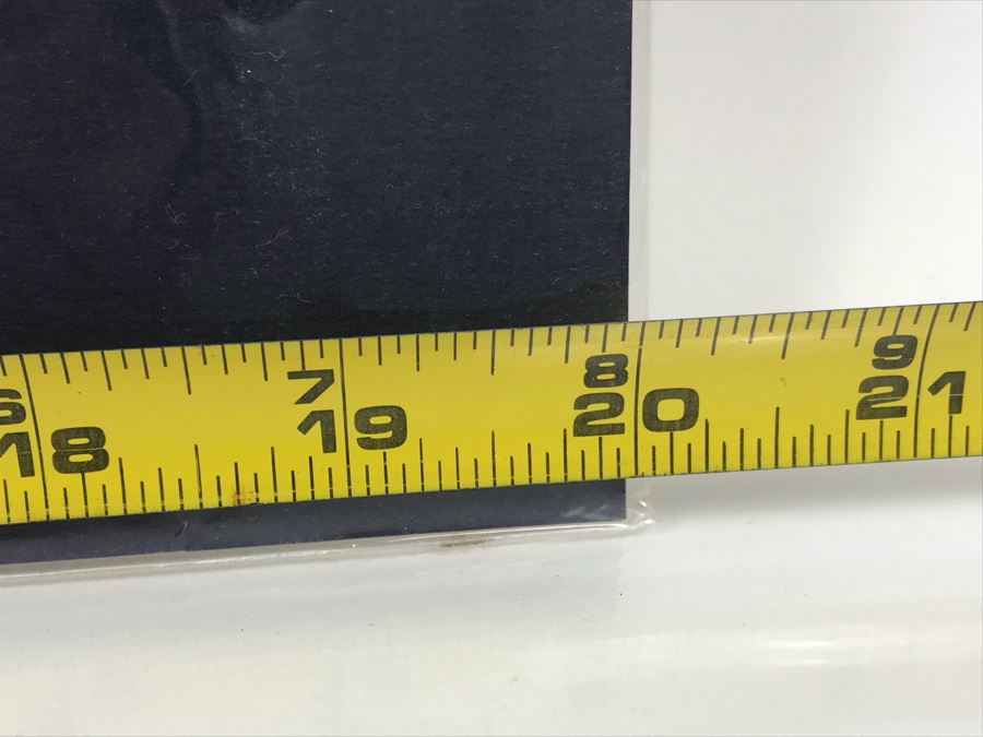 Limited Edition Hand Signed Print By John E. Kaufmann Titled 'Dragon Bones' 20' X 16' [Photo 10]