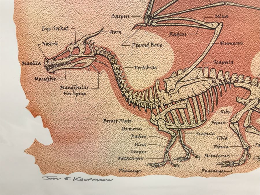 Limited Edition Hand Signed Print By John E. Kaufmann Titled 'Dragon Bones' 20' X 16' [Photo 5]