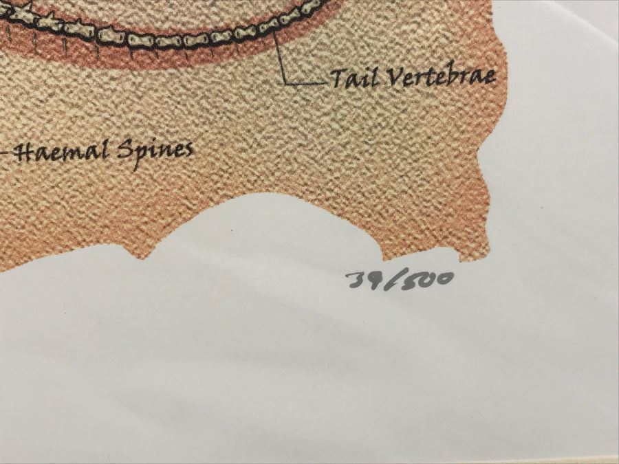 Limited Edition Hand Signed Print By John E. Kaufmann Titled 'Dragon Bones' 20' X 16' [Photo 8]