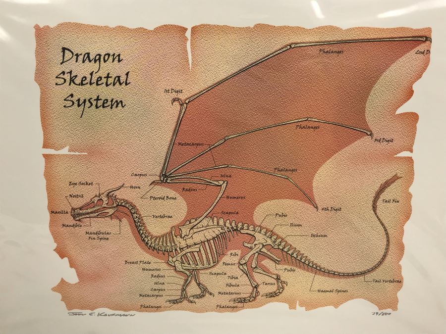 Limited Edition Hand Signed Print By John E. Kaufmann Titled 'Dragon Bones' 20' X 16' [Photo 3]