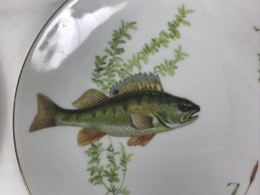 Set Of (5) Bareuther Waldsassen Bavaria-Germany Fish Plates [Photo 5]
