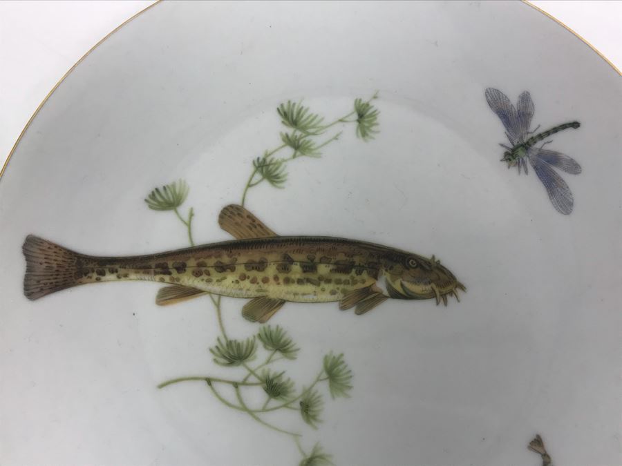Set Of (5) Bareuther Waldsassen Bavaria-Germany Fish Plates [Photo 3]