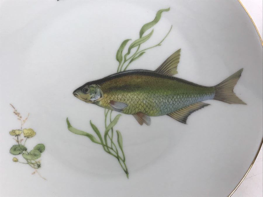 Set Of (5) Bareuther Waldsassen Bavaria-Germany Fish Plates [Photo 8]