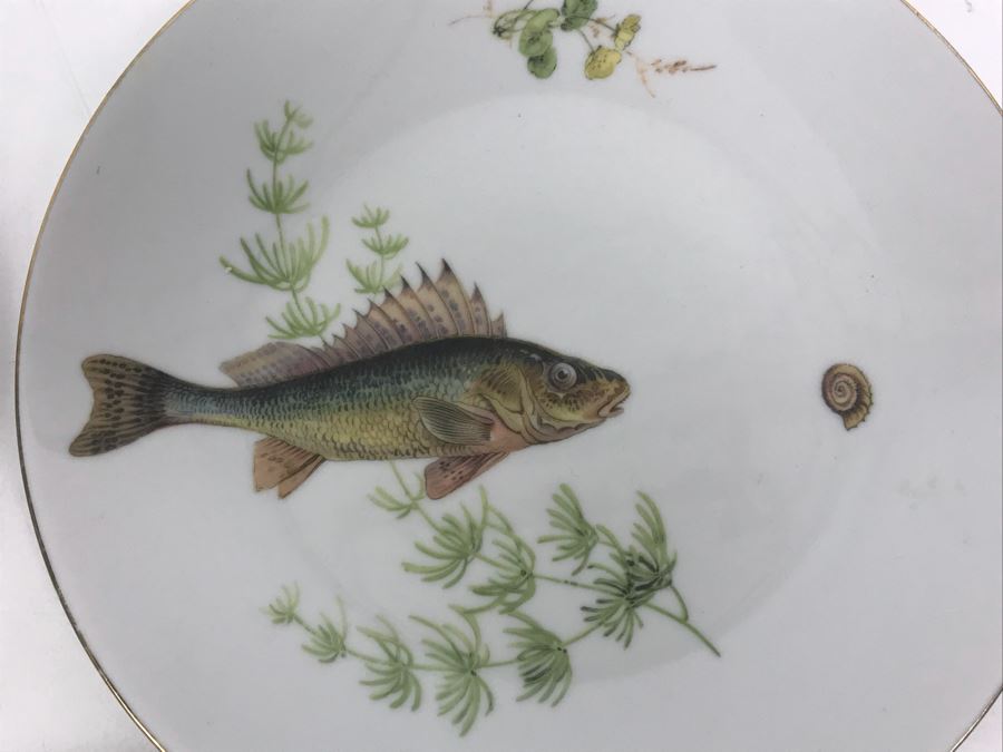 Set Of (5) Bareuther Waldsassen Bavaria-Germany Fish Plates [Photo 6]