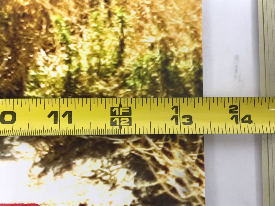 (10) Copies Of Rob Zombie's The Devil's Rejects And (8) Copies Of The Frighteners Movie Promotional Posters Comic Con [Photo 11]