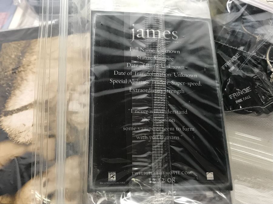 Huge Box Filled With Various Vintage Movie, TV Series And Comic Book Promotional Items Including Cards, Keychains, Trading Cards Mainly From Comic Con - See All Photos [Photo 48]