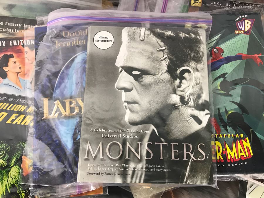 Huge Lot Of Various TV Series And Movie Promotional Hats, Ghost Hunters Toy Figurines, Alien Doll, Tons Of Beowulf Sealed Promotional Pins, Promotional Buttons And Patches, Movie Promo Cards From Comic Con - See All Photos [Photo 35]