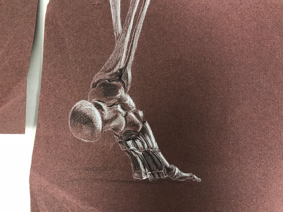 (3) Original Skeletal Drawings By Local Artist Bob Lee [Photo 3]