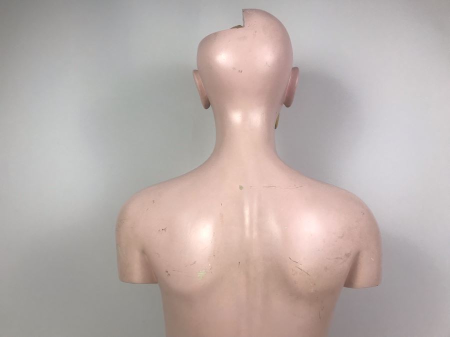 Cenco Central Scientific Anatomical Medical Life Size Mannequin With Pullout Organs Human Body Model For Medical Students Missing Some Organs [Photo 13]