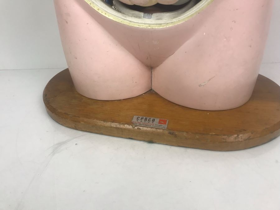 Cenco Central Scientific Anatomical Medical Life Size Mannequin With Pullout Organs Human Body Model For Medical Students Missing Some Organs [Photo 7]