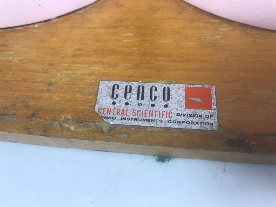 Cenco Central Scientific Anatomical Medical Life Size Mannequin With Pullout Organs Human Body Model For Medical Students Missing Some Organs [Photo 8]