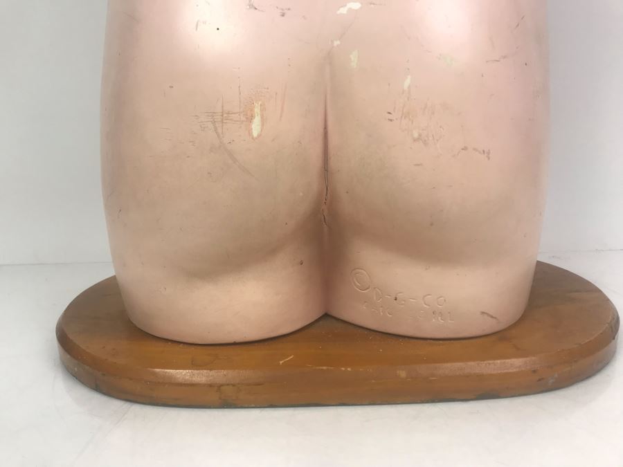 Cenco Central Scientific Anatomical Medical Life Size Mannequin With Pullout Organs Human Body Model For Medical Students Missing Some Organs [Photo 14]