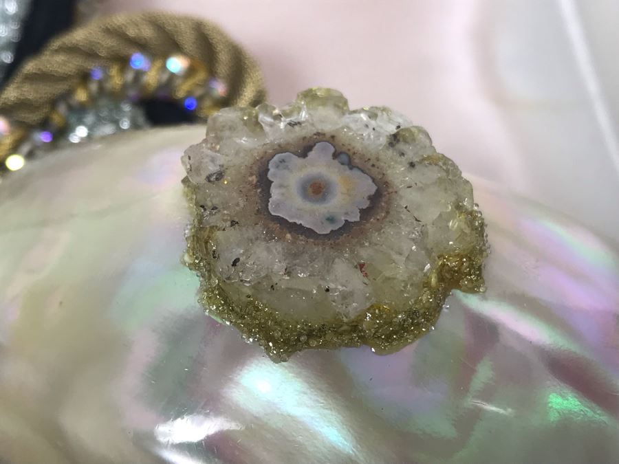 Shell Necklace From Amen Wardy [Photo 8]