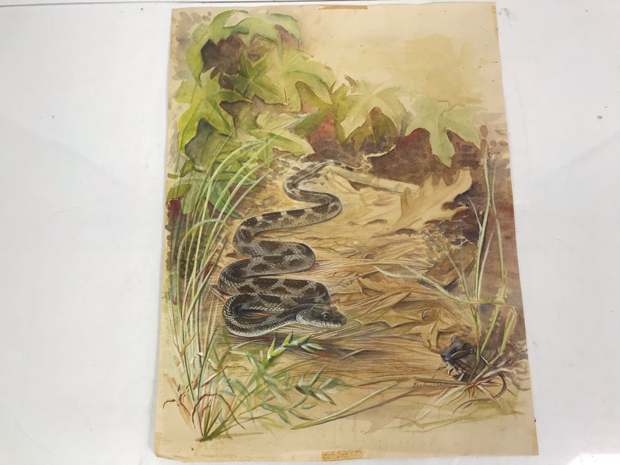 Original Painting Of Snake Approaching Mouse On Paper By Barbara Clark 14.5' X 19' [Photo 2]