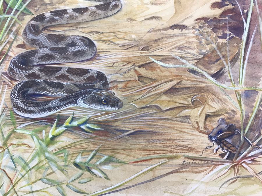 Original Painting Of Snake Approaching Mouse On Paper By Barbara Clark 14.5' X 19' [Photo 3]