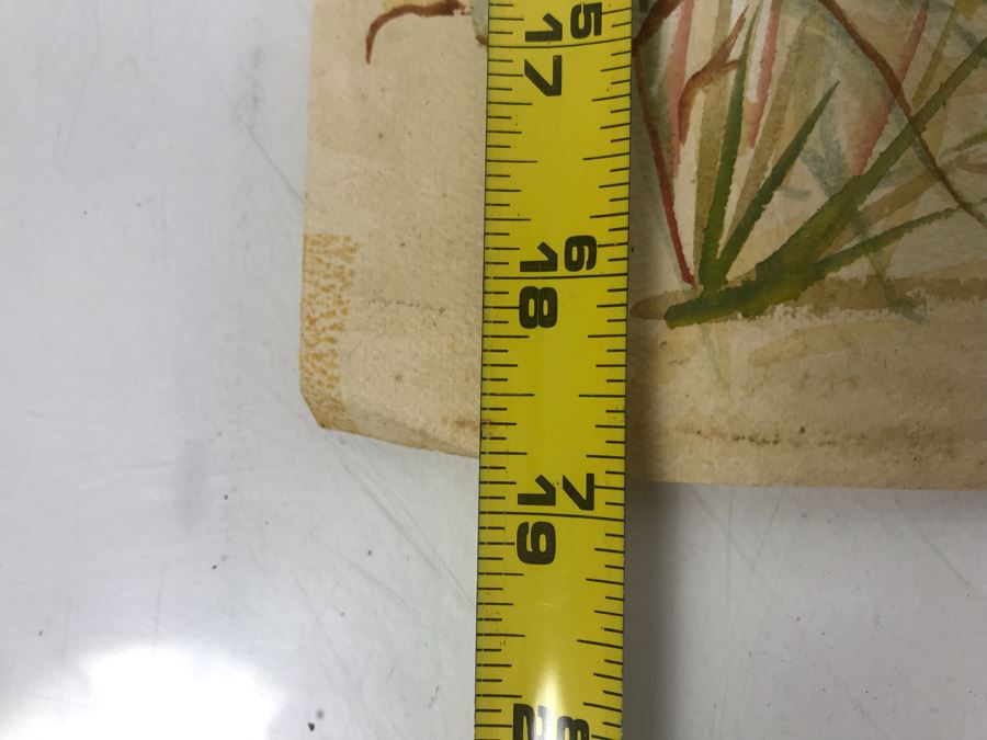 Original Painting Of Snake Approaching Mouse On Paper By Barbara Clark 14.5' X 19' [Photo 10]