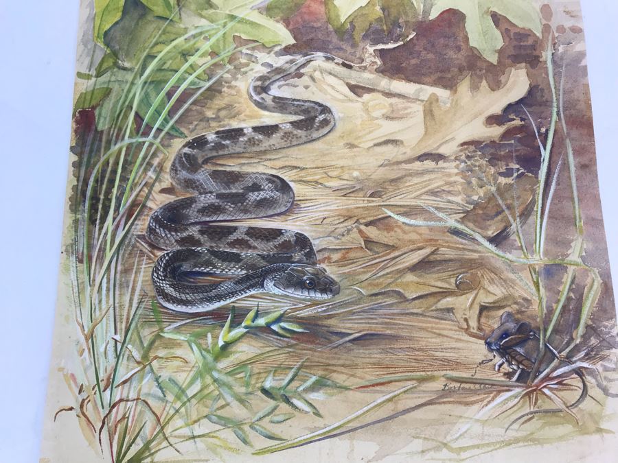 Original Painting Of Snake Approaching Mouse On Paper By Barbara Clark 14.5' X 19' [Photo 1]