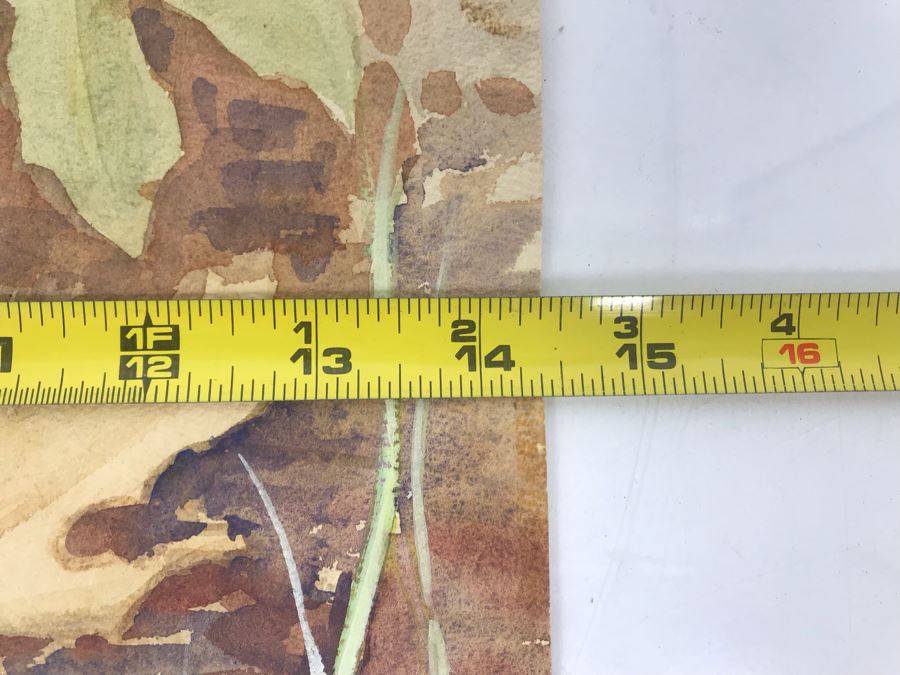 Original Painting Of Snake Approaching Mouse On Paper By Barbara Clark 14.5' X 19' [Photo 9]