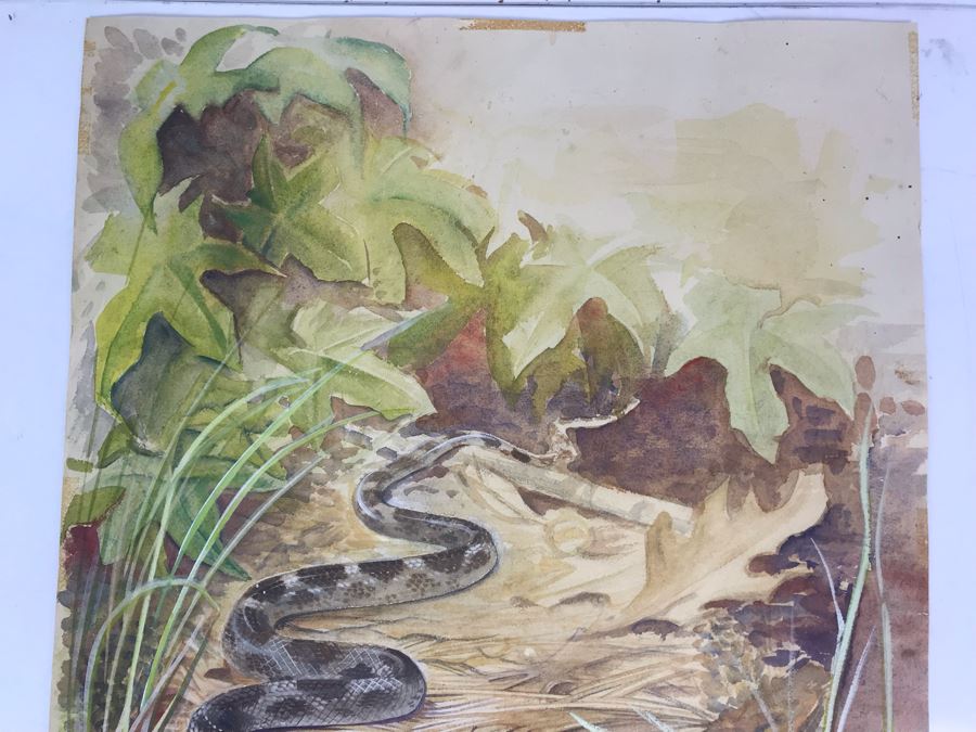 Original Painting Of Snake Approaching Mouse On Paper By Barbara Clark 14.5' X 19' [Photo 8]