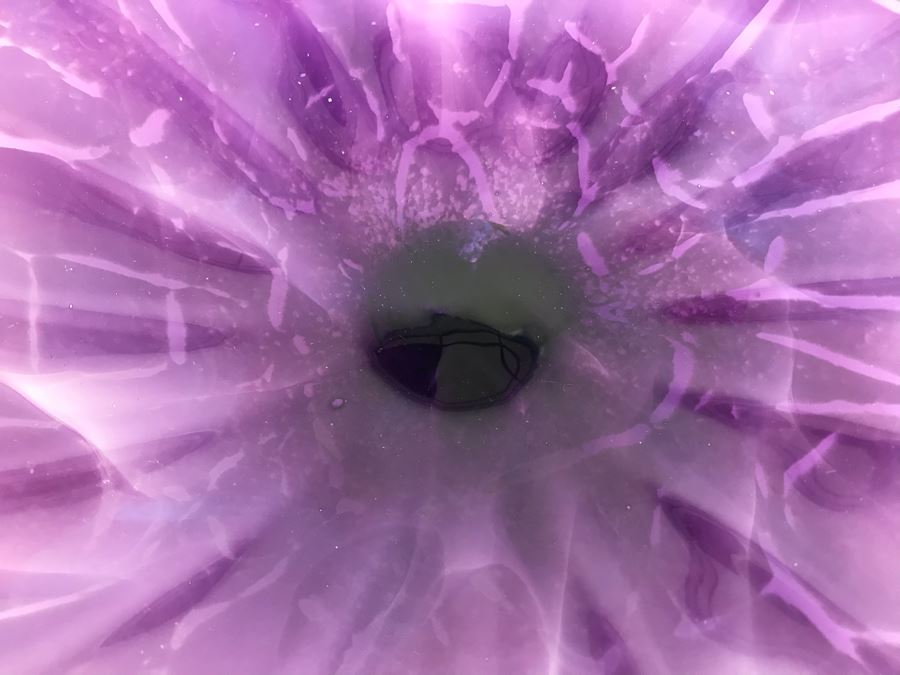 Vintage Signed Art Glass In Manner Of Dale Chihuly Wall Mountable 16' [Photo 5]