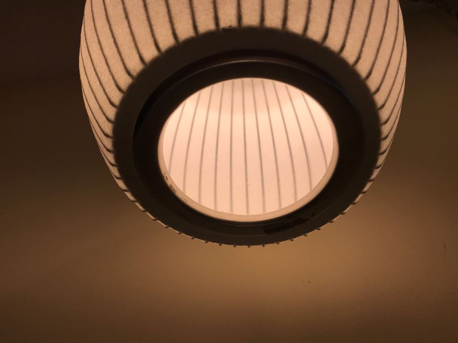 George Nelson Cigar Bubble Lamp Pendant Light Fixture [Photo 5]