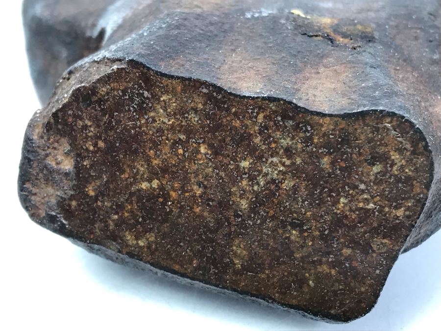 Set Of (4) Ancient Rocks Including Rock Embedded With Fossils [Photo 18]