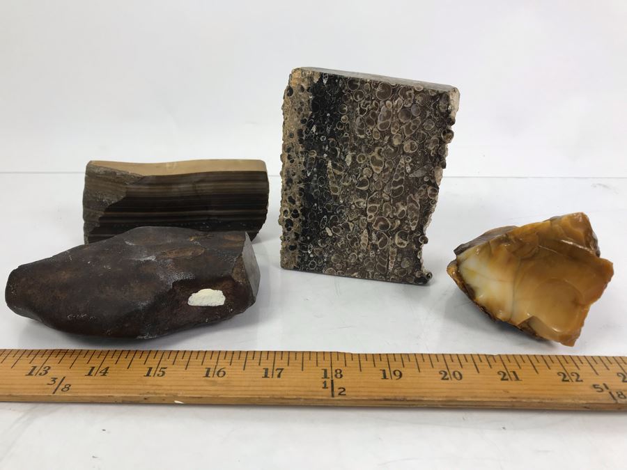 Set Of (4) Ancient Rocks Including Rock Embedded With Fossils