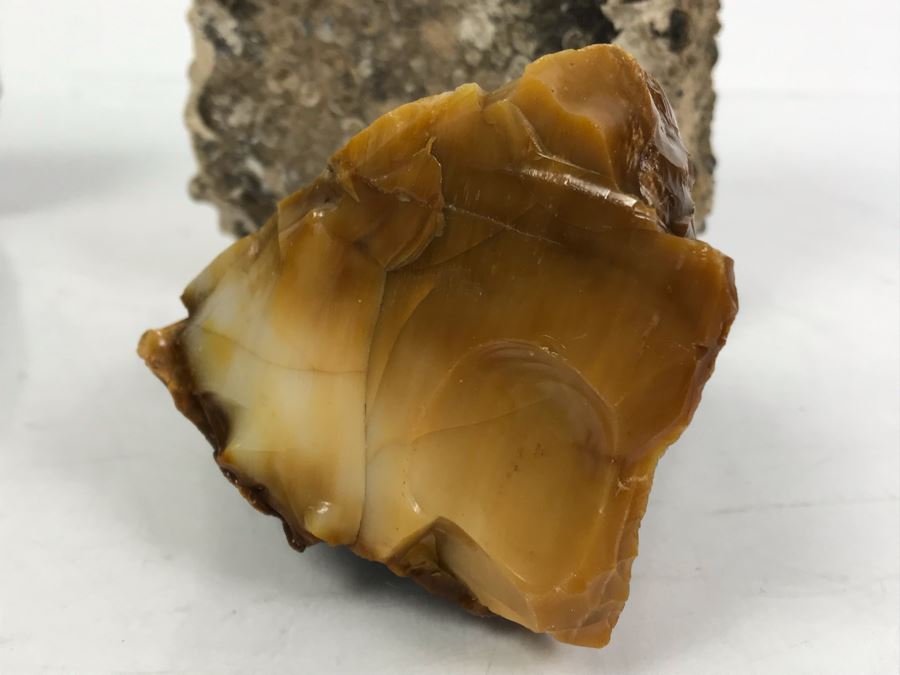 Set Of (4) Ancient Rocks Including Rock Embedded With Fossils [Photo 12]