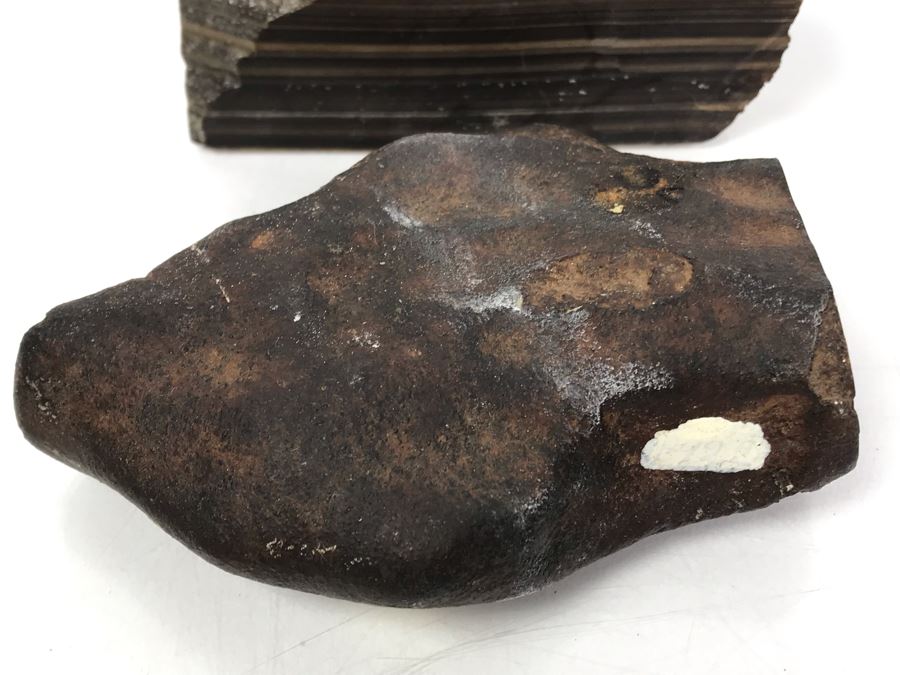 Set Of (4) Ancient Rocks Including Rock Embedded With Fossils [Photo 16]