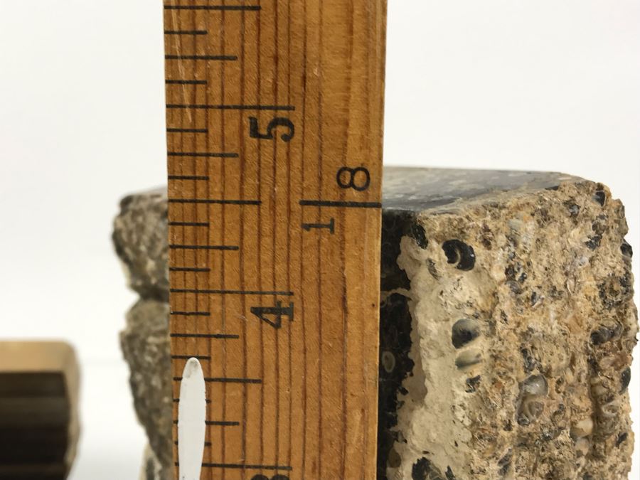 Set Of (4) Ancient Rocks Including Rock Embedded With Fossils [Photo 11]