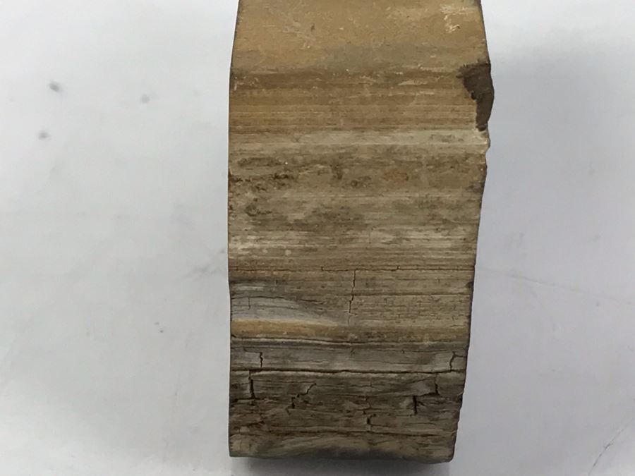 Set Of (4) Ancient Rocks Including Rock Embedded With Fossils [Photo 23]