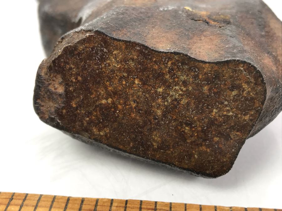 Set Of (4) Ancient Rocks Including Rock Embedded With Fossils [Photo 17]