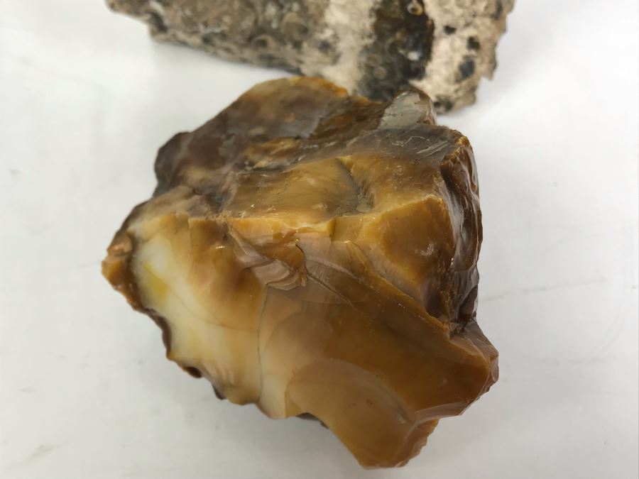 Set Of (4) Ancient Rocks Including Rock Embedded With Fossils [Photo 13]