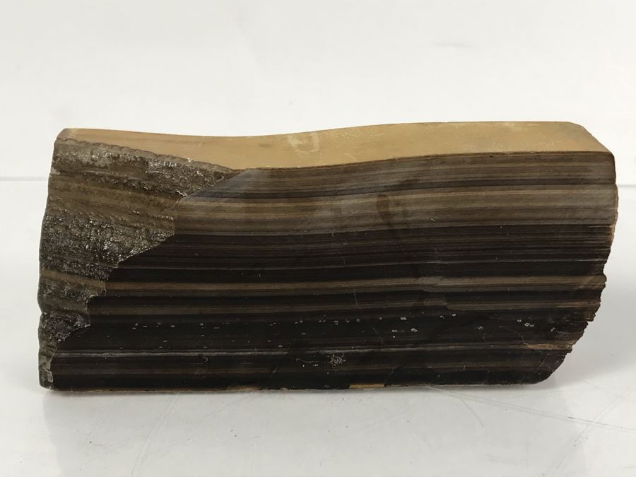 Set Of (4) Ancient Rocks Including Rock Embedded With Fossils [Photo 21]