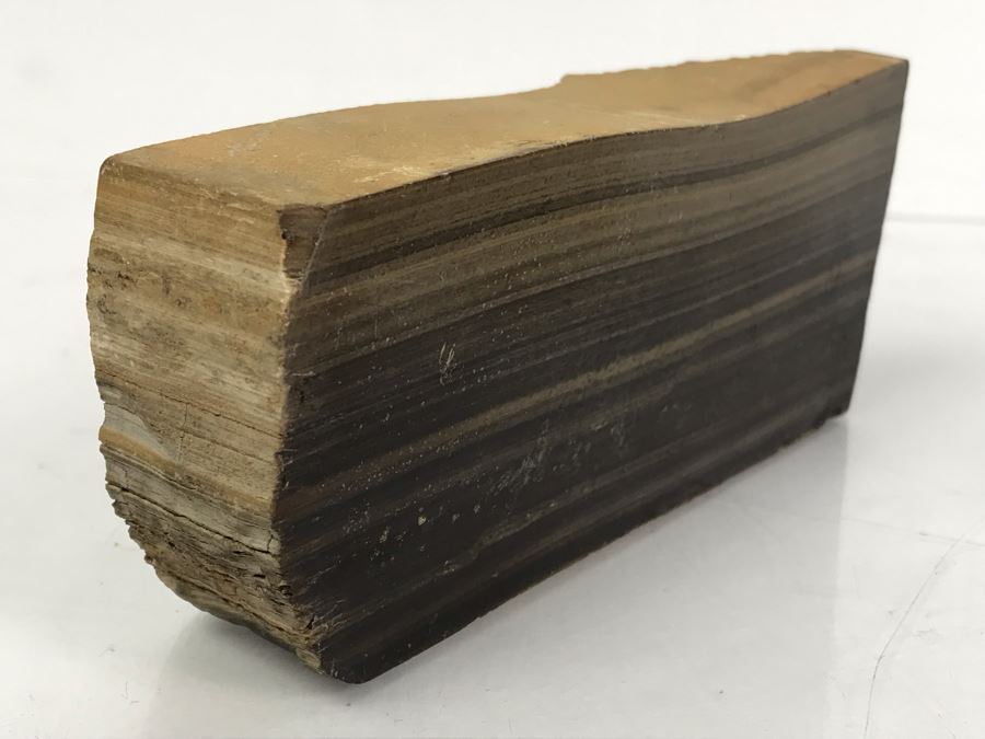 Set Of (4) Ancient Rocks Including Rock Embedded With Fossils [Photo 24]