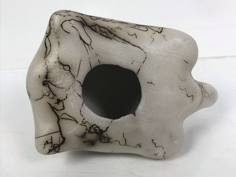 Navajo Horsehair Pottery Of Turtle [Photo 7]