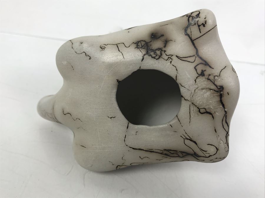 Navajo Horsehair Pottery Of Turtle [Photo 10]