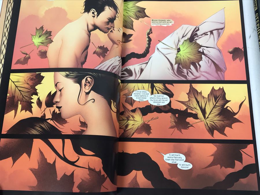 Collection Of (3) Stephen King Graphic Novels Comic Books The Dark Tower And The Walking Dead Graphic Novel Comic Book Volume 1 Days Gone Bye [Photo 11]