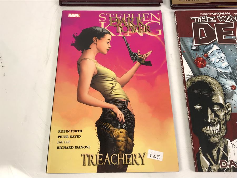 Collection Of (3) Stephen King Graphic Novels Comic Books The Dark Tower And The Walking Dead Graphic Novel Comic Book Volume 1 Days Gone Bye [Photo 5]