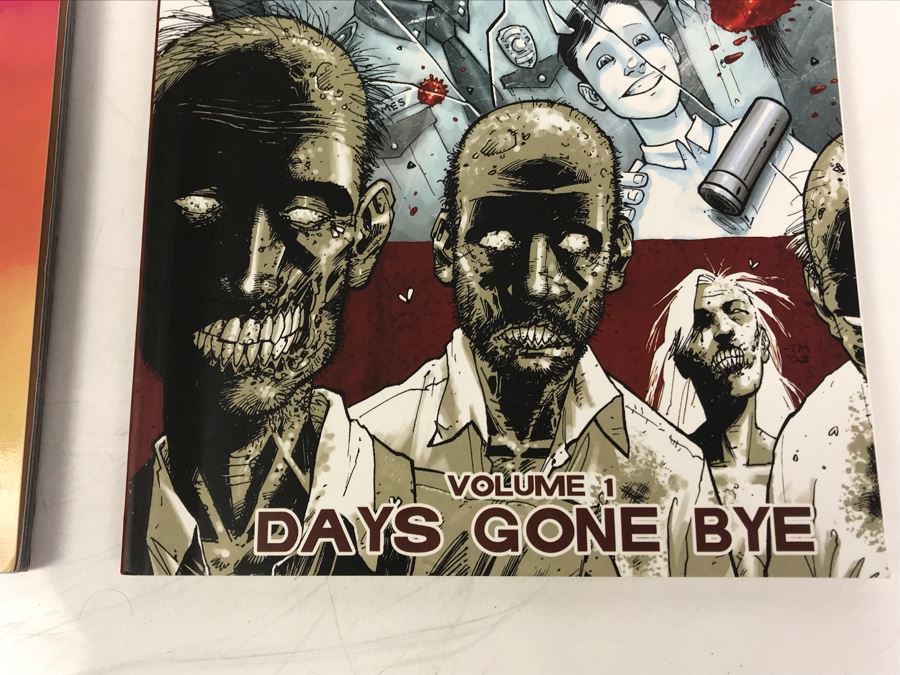 Collection Of (3) Stephen King Graphic Novels Comic Books The Dark Tower And The Walking Dead Graphic Novel Comic Book Volume 1 Days Gone Bye [Photo 3]