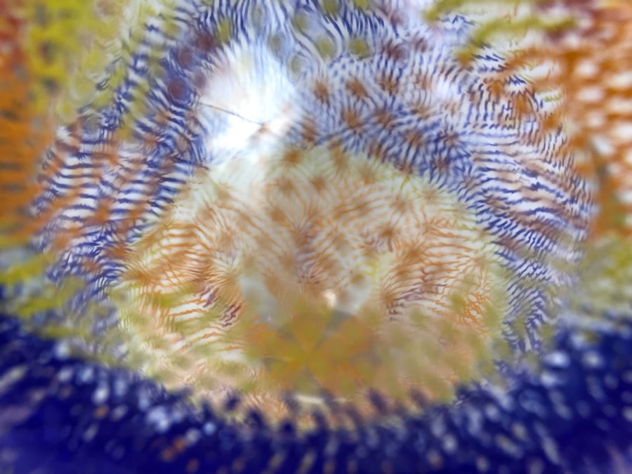  Signed Art Glass Vase By Mossman 2002 HEAVY 6'H [Photo 8]