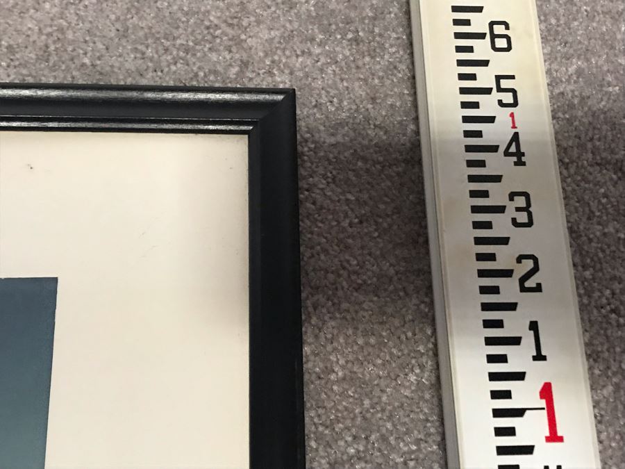 Signed United States Navy Parachute Team (West) Leap Frogs Photograph Personalized To RADM William H. Harris 17' X 21' [Photo 9]